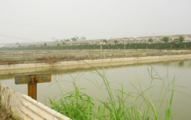 养殖基地